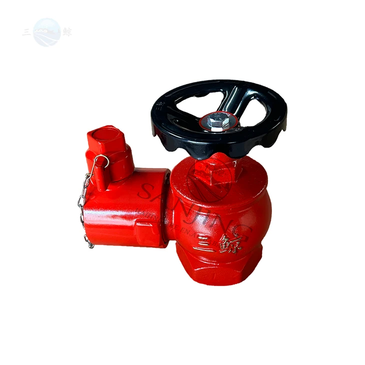 BS Instantaneous Fire Hydrant