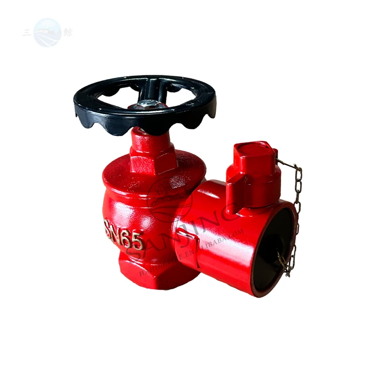 BS Instantaneous Fire Hydrant