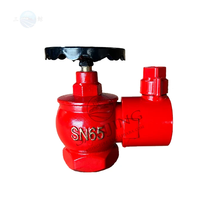 BS Instantaneous Fire Hydrant